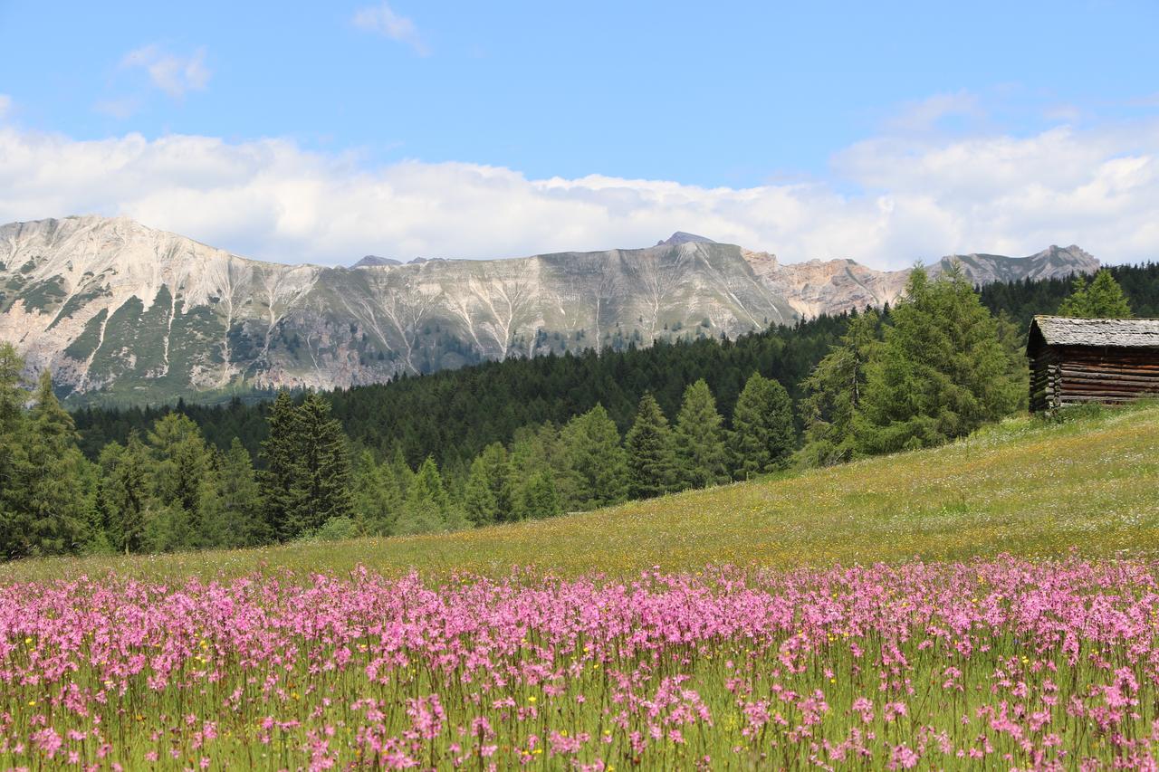 Hotel Alpenrose Dolomites 拉瓦莱 外观 照片