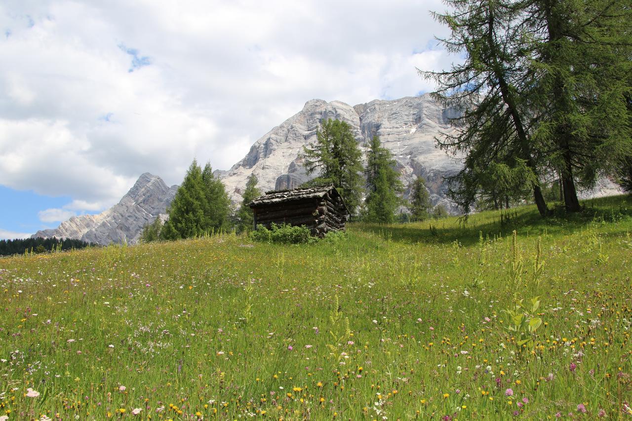 Hotel Alpenrose Dolomites 拉瓦莱 外观 照片
