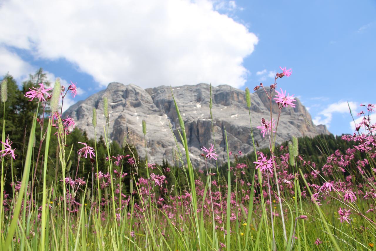 Hotel Alpenrose Dolomites 拉瓦莱 外观 照片